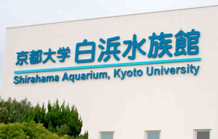 京都大学 白浜水族館