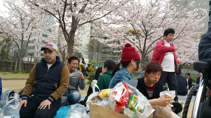 お花見