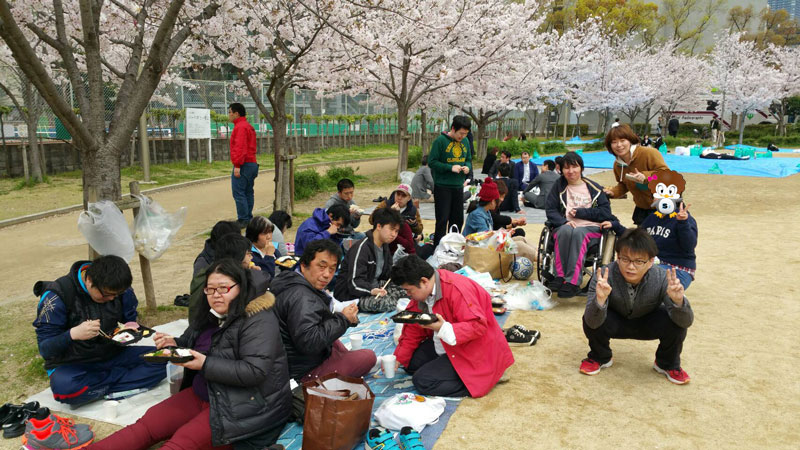 お花見:お弁当に夢中